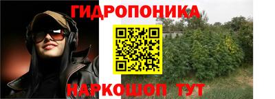 амф Абинск